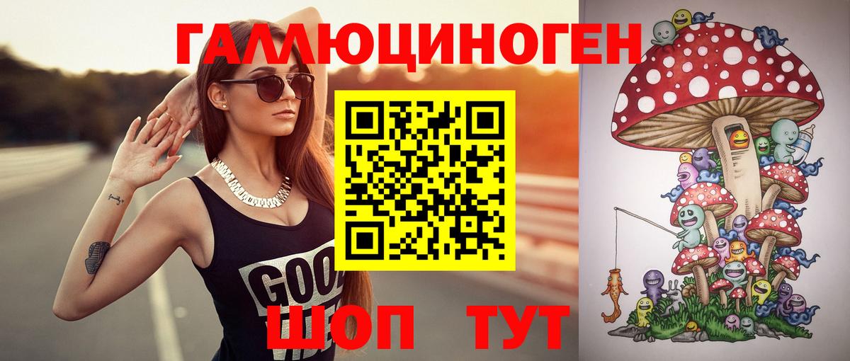 Тимашёвск  Псилоцибиновые грибы Magic Shrooms  Вход с VPN  Галлюциногенные грибы мицелий 